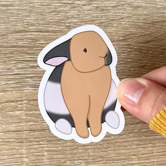 Holding a sticker featuring an illustration of a harlequin bunny sitting. The bunny is tan, white, and grey. Sticker is glossy and 1.9 x 2.6 inches.