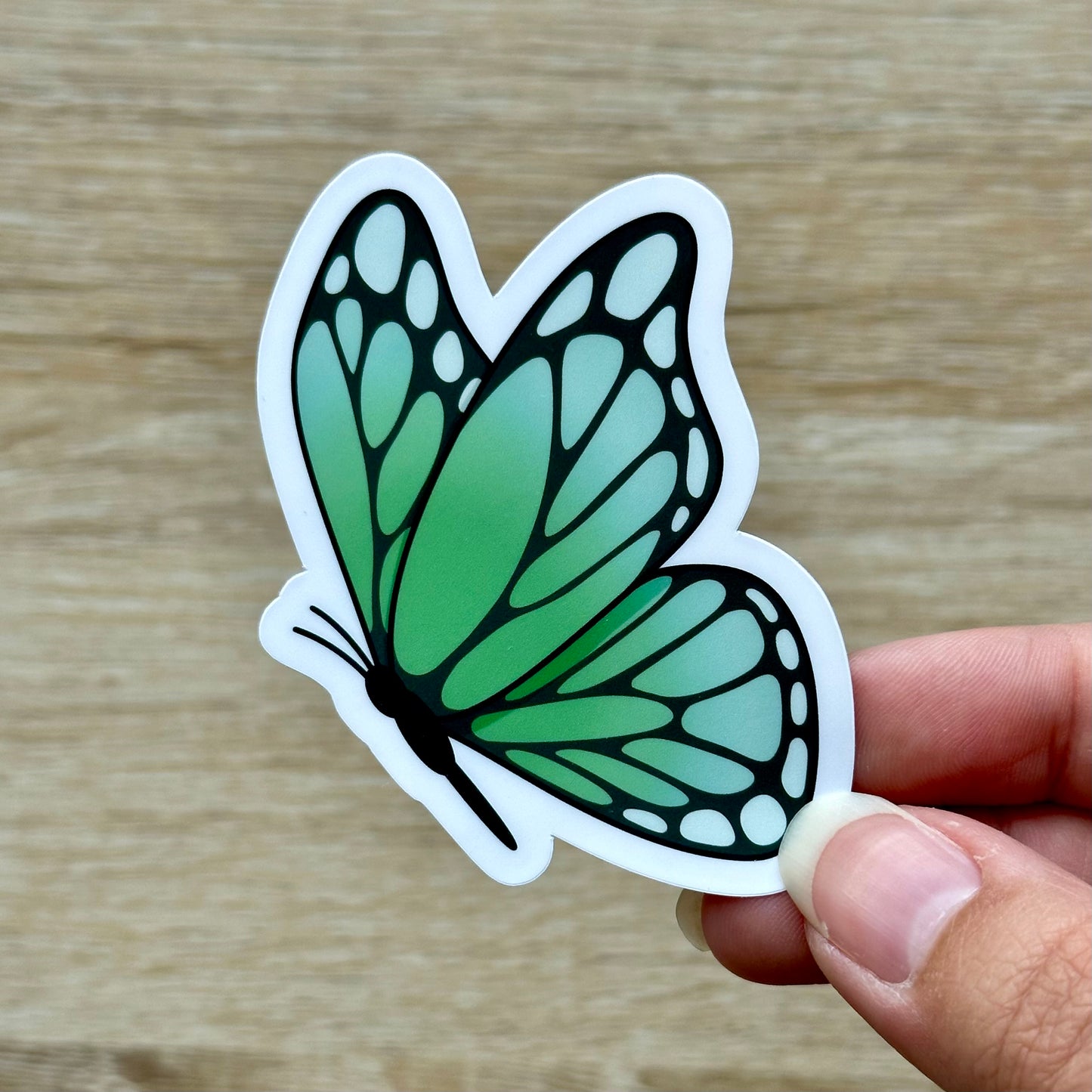 Green Butterfly Sticker