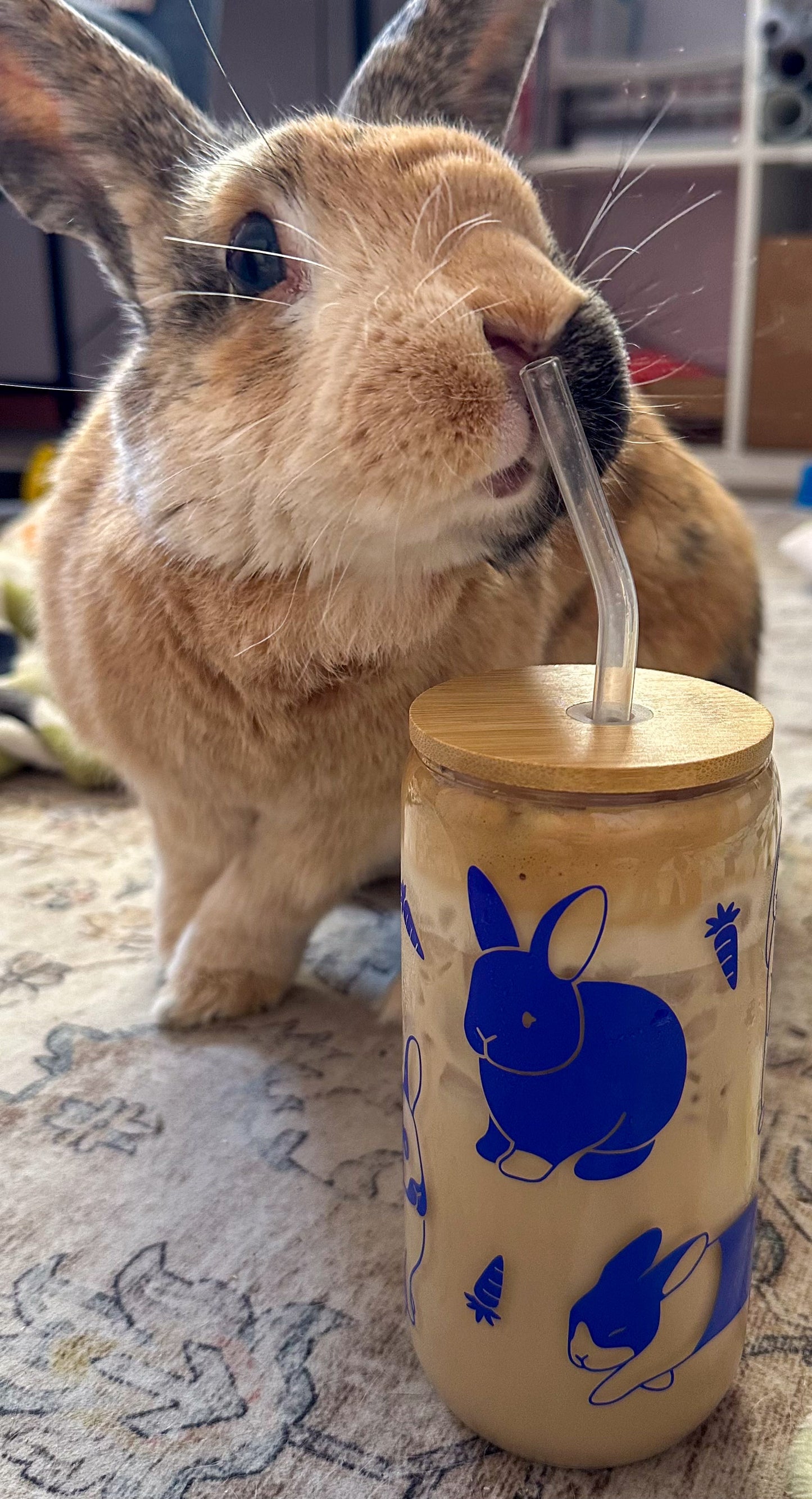 **PRE-ORDER** Bunnies Color Changing Glass Cup