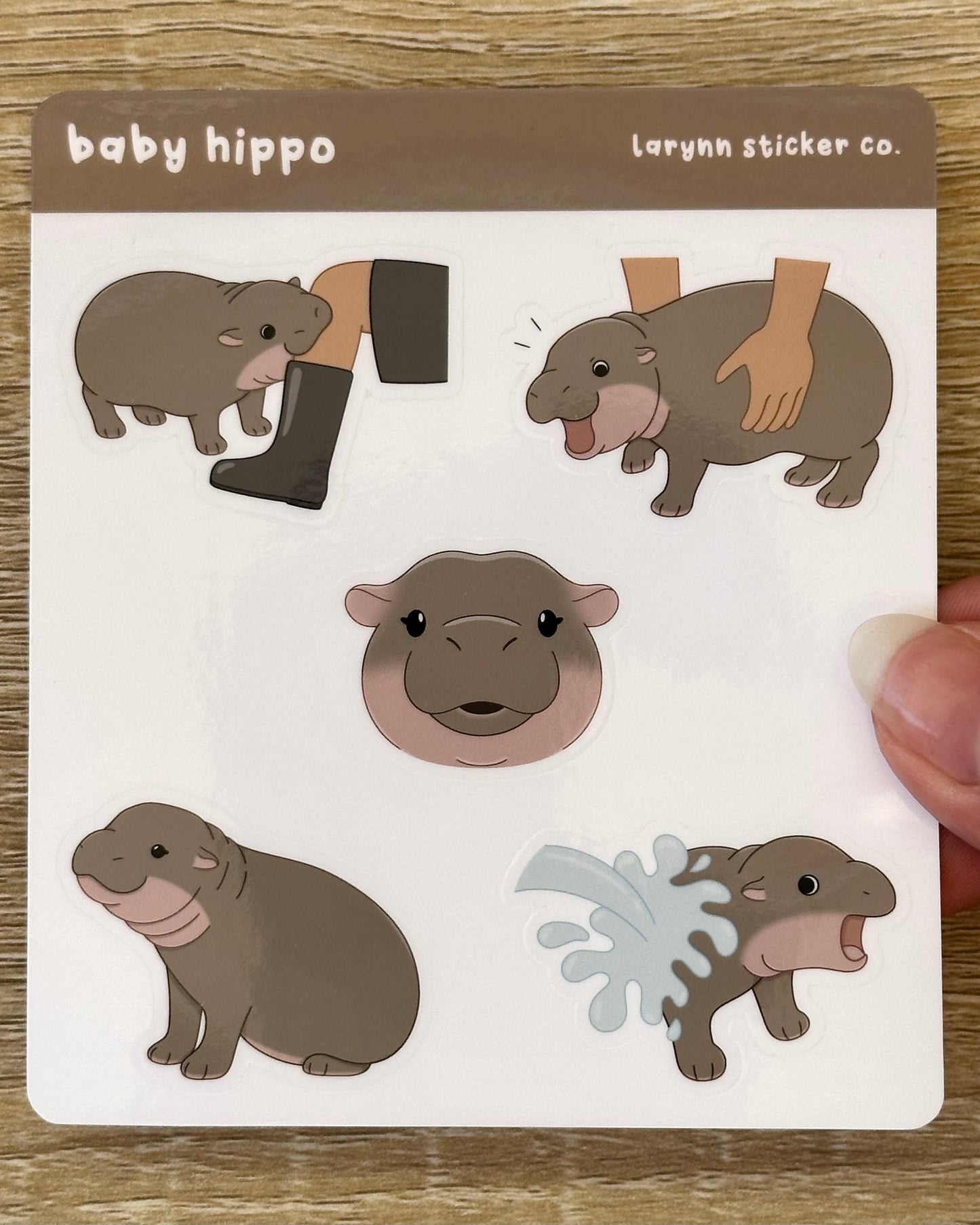 Baby Pygmy Hippo Sticker Sheet