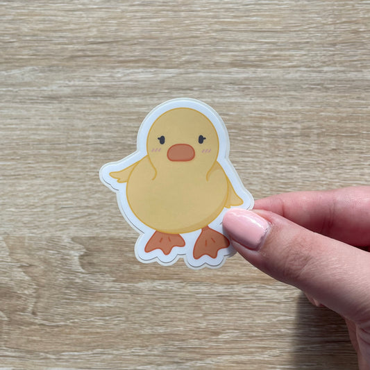 Curious Duckling Sticker