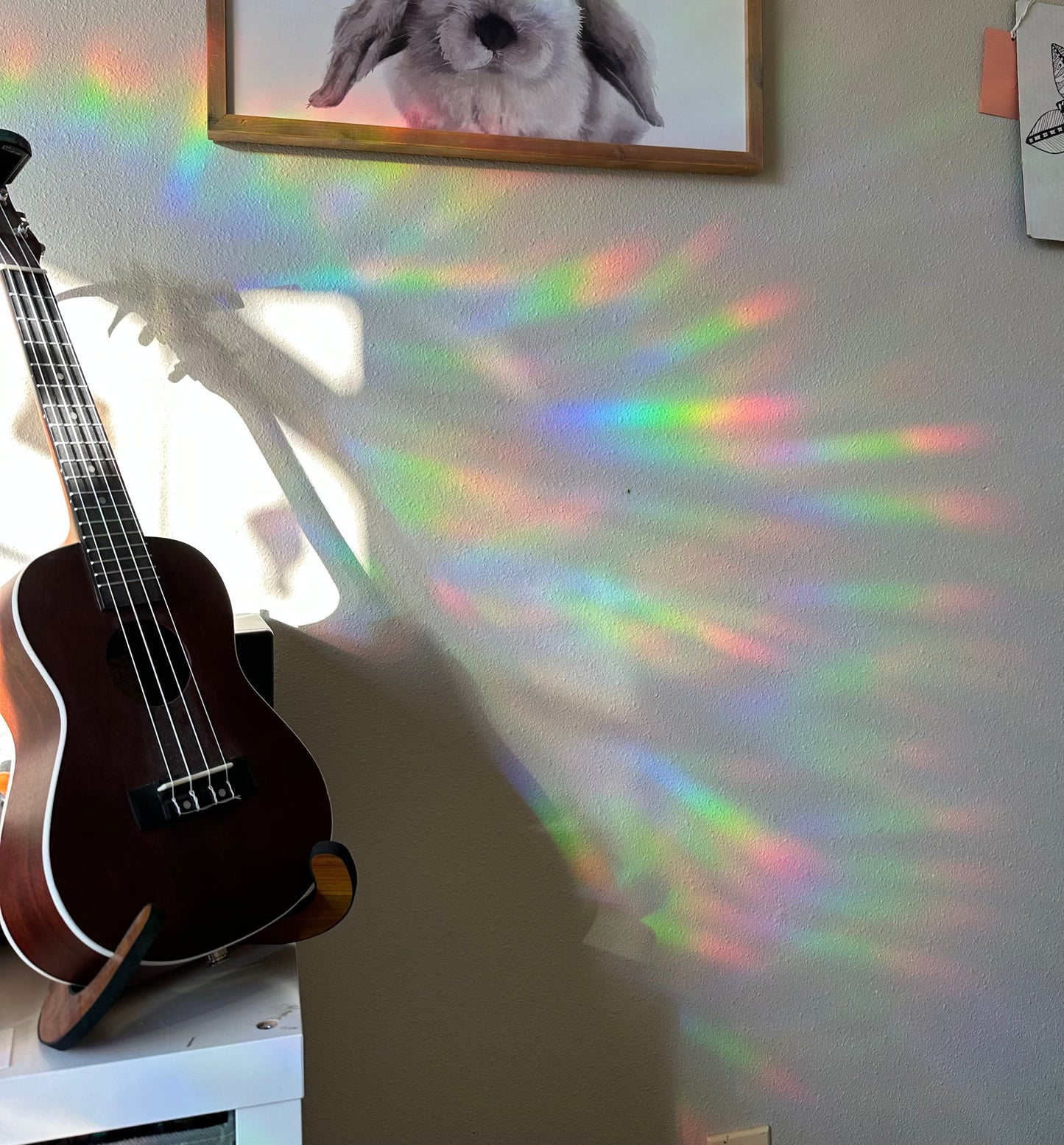 A wall covered in rainbows made from Suncatcher Decals. The more decals, the more rainbows!