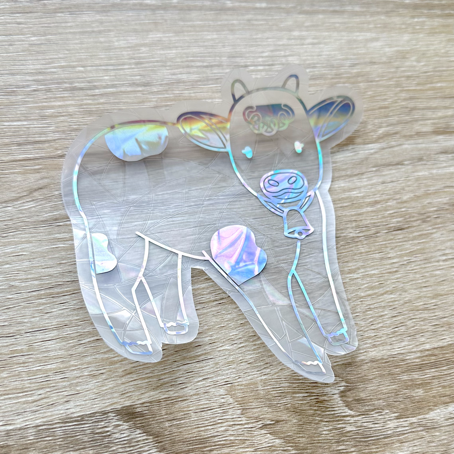 Cow Sun Catcher Sticker Decal