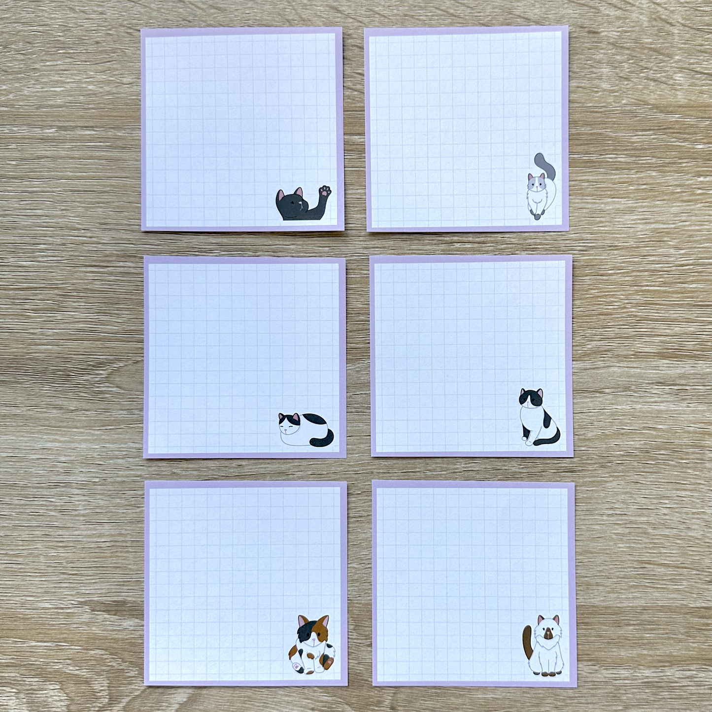 Cats Memo Pad / Note Pad