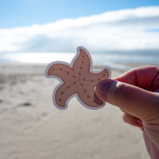 Starfish Sticker