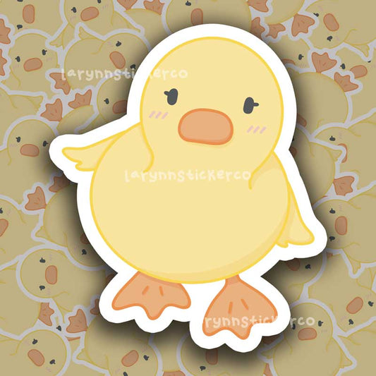 Curious Duckling Sticker