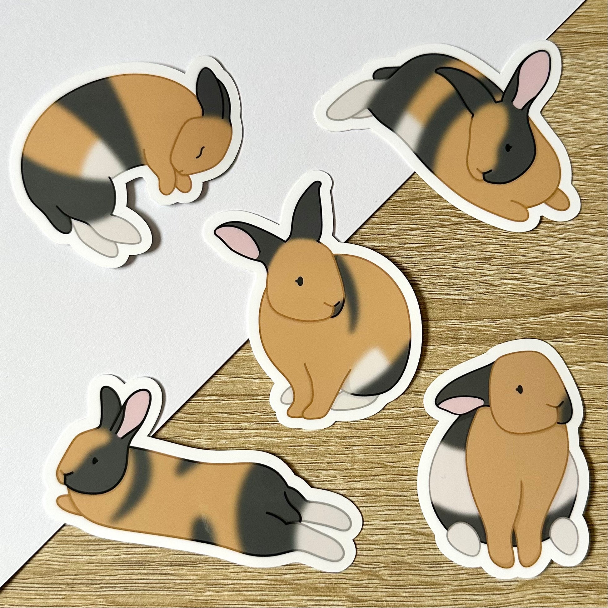 Pack of 5 vinyl harlequin bunny  stickers. Each sticker has a bunny in a different pose, with tan, grey, and white fur colors.