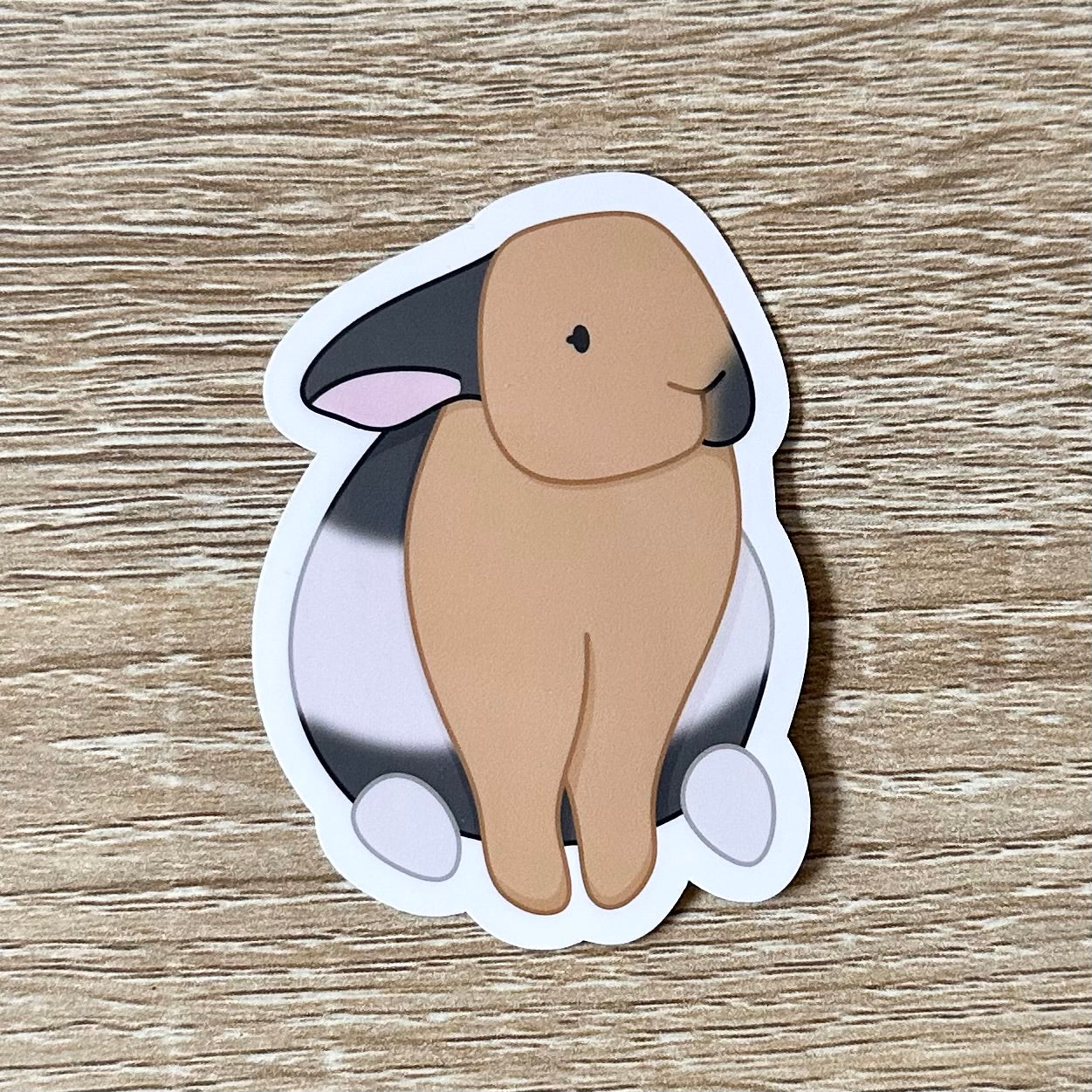 A sticker featuring an illustration of a harlequin bunny sitting. The bunny is tan, white, and grey. Sticker is glossy and 1.9 x 2.6 inches.