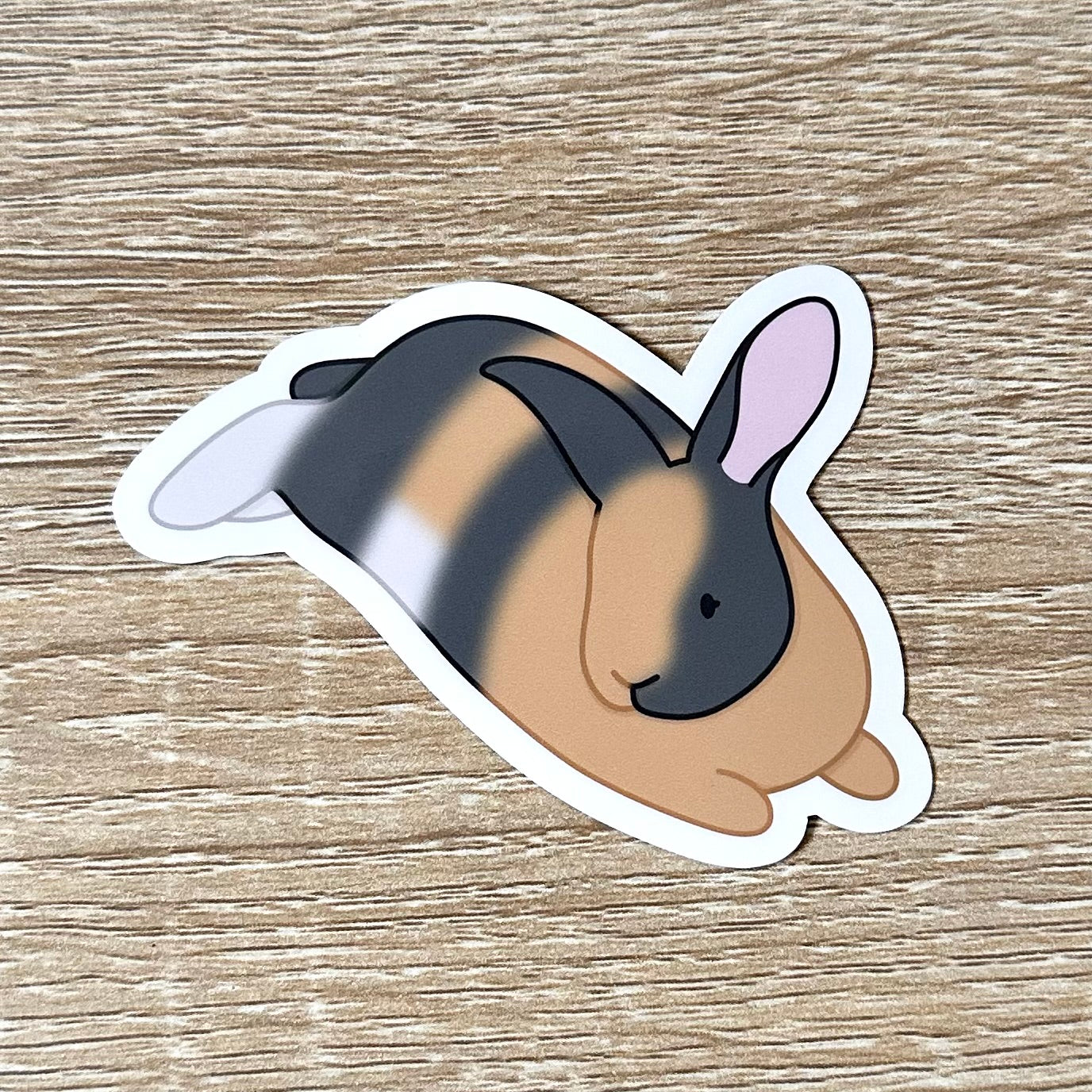 A sticker featuring an illustration of a harlequin bunny laying on his stomach, looking to the left with his ears up. Partial front and side view. The bunny is tan, white, and grey. Sticker is glossy and 3.1 x 2.2 inches.