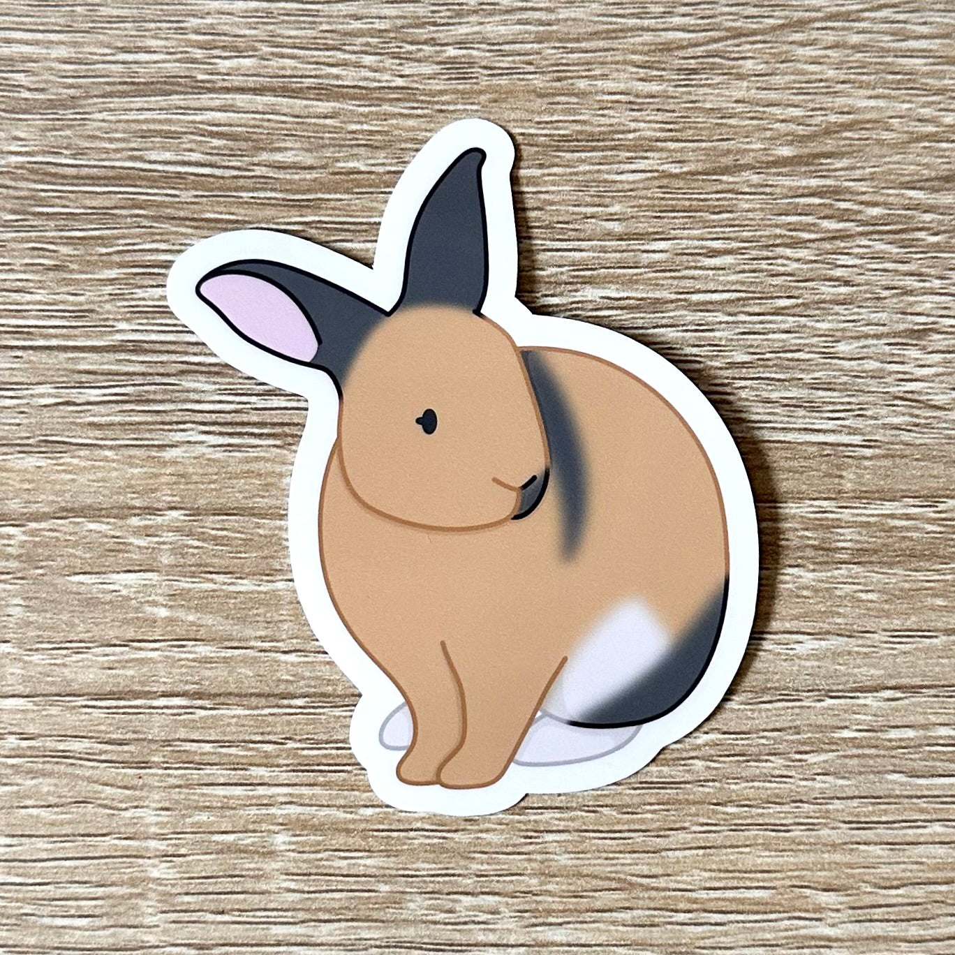 A sticker featuring an illustration of a harlequin bunny sitting, with his ears up, facing right. The bunny is tan, white, and grey. Sticker is glossy and 2.4 x 2.9 inches.