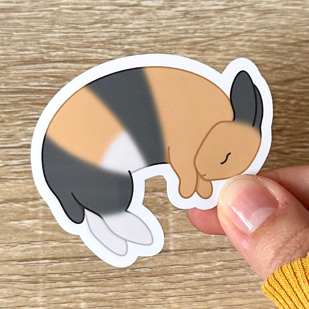 Holding a sticker featuring an illustration of a harlequin bunny laying on his side, flopped and sleeping. The bunny is tan, white, and grey. Sticker is glossy and 2.7 x 2.1 inches.