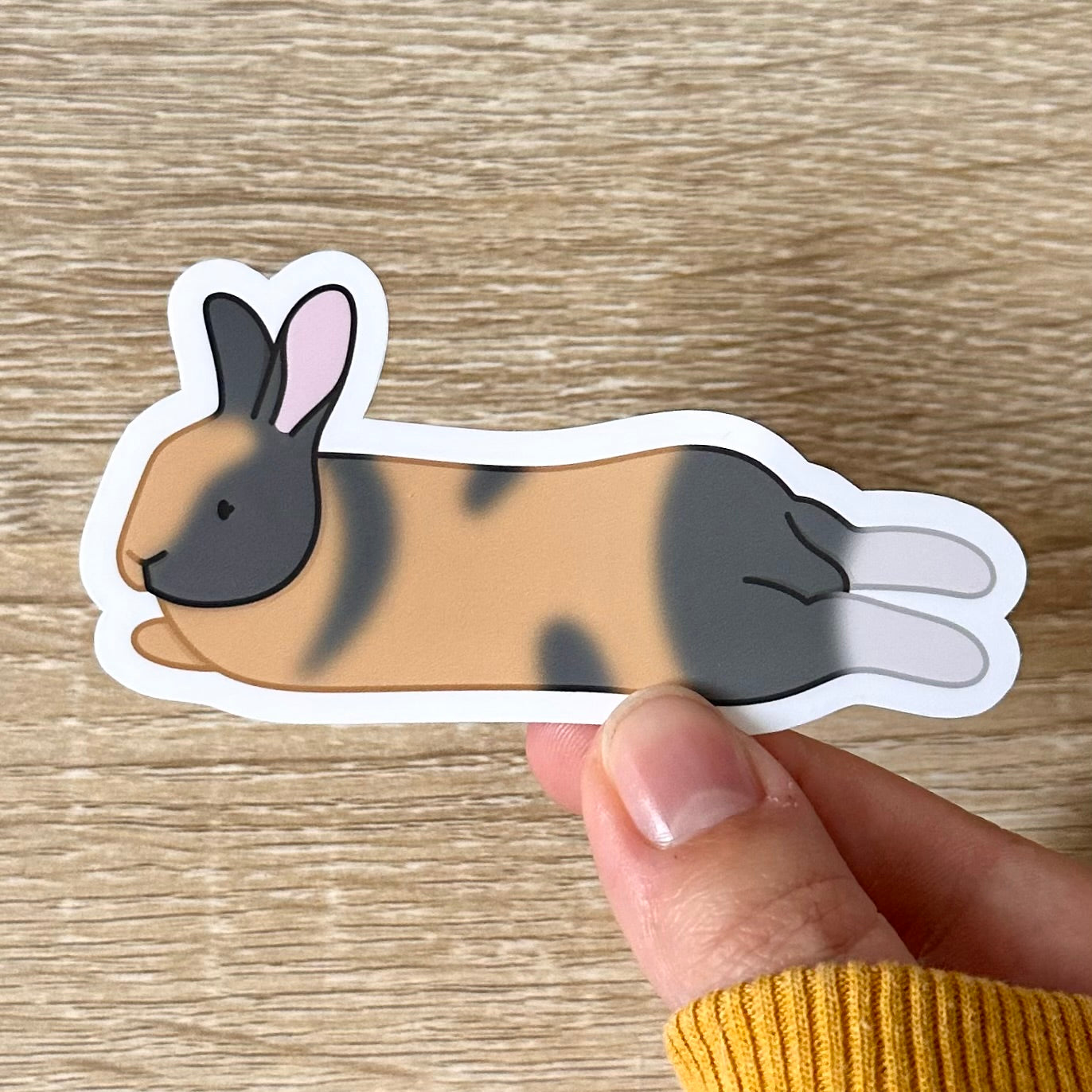 Holding a sticker featuring an illustration of a harlequin bunny laying on his stomach, looking at the camera with his ears up. Side view. The bunny is tan, white, and grey. Sticker is glossy and 3.5 x 2.1 inches.