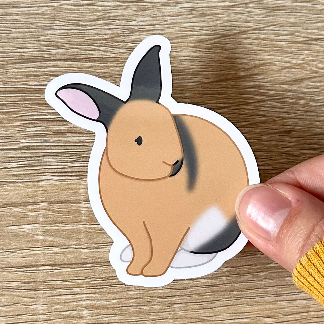 Holding a sticker featuring an illustration of a harlequin bunny sitting, with his ears up, facing right. The bunny is tan, white, and grey. Sticker is glossy and 2.4 x 2.9 inches.