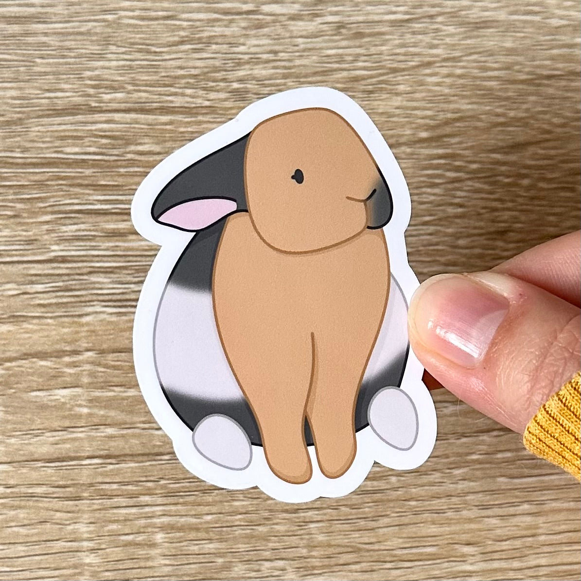 Holding a sticker featuring an illustration of a harlequin bunny sitting. The bunny is tan, white, and grey. Sticker is glossy and 1.9 x 2.6 inches.