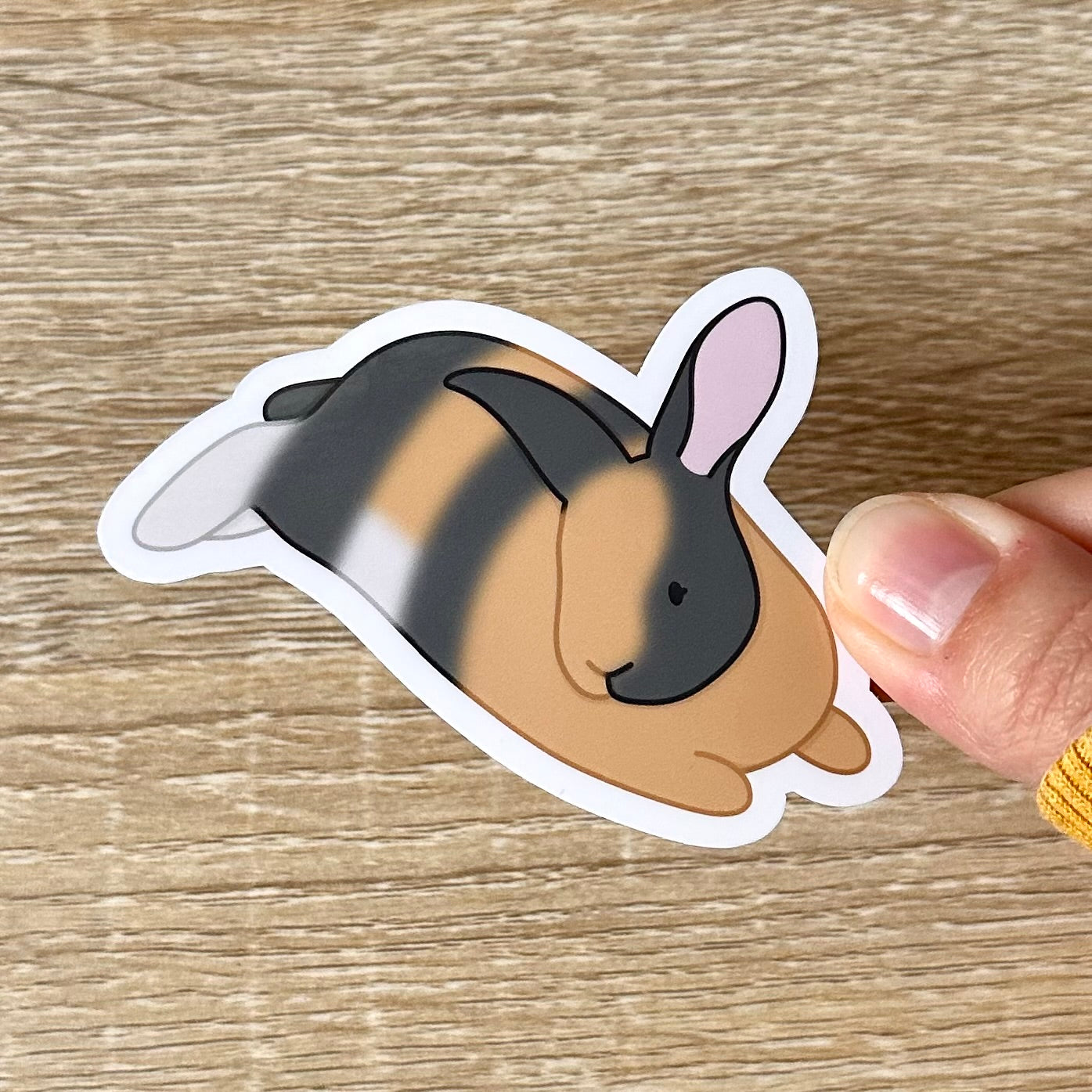 Holding a sticker featuring an illustration of a harlequin bunny laying on his stomach, looking to the left with his ears up. Partial front and side view. The bunny is tan, white, and grey. Sticker is glossy and 3.1 x 2.2 inches.