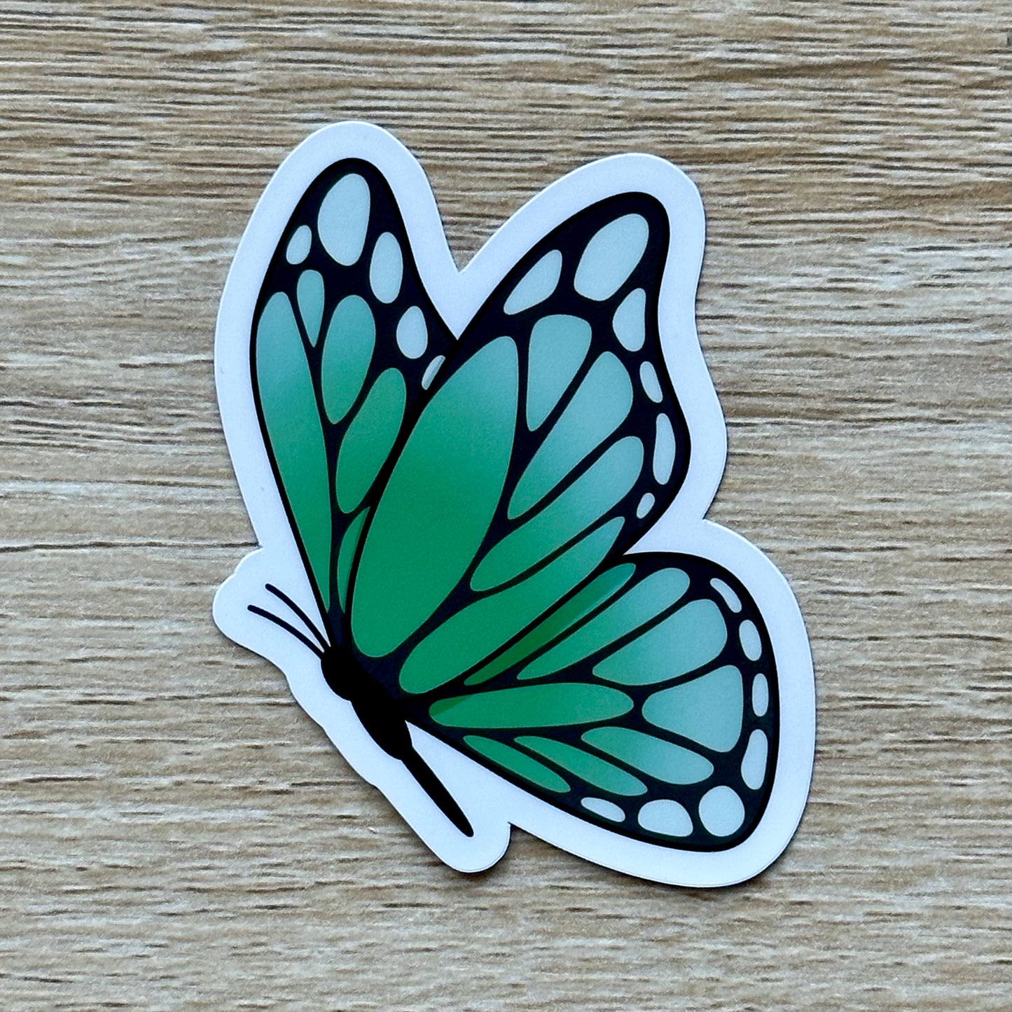 Green Butterfly Sticker