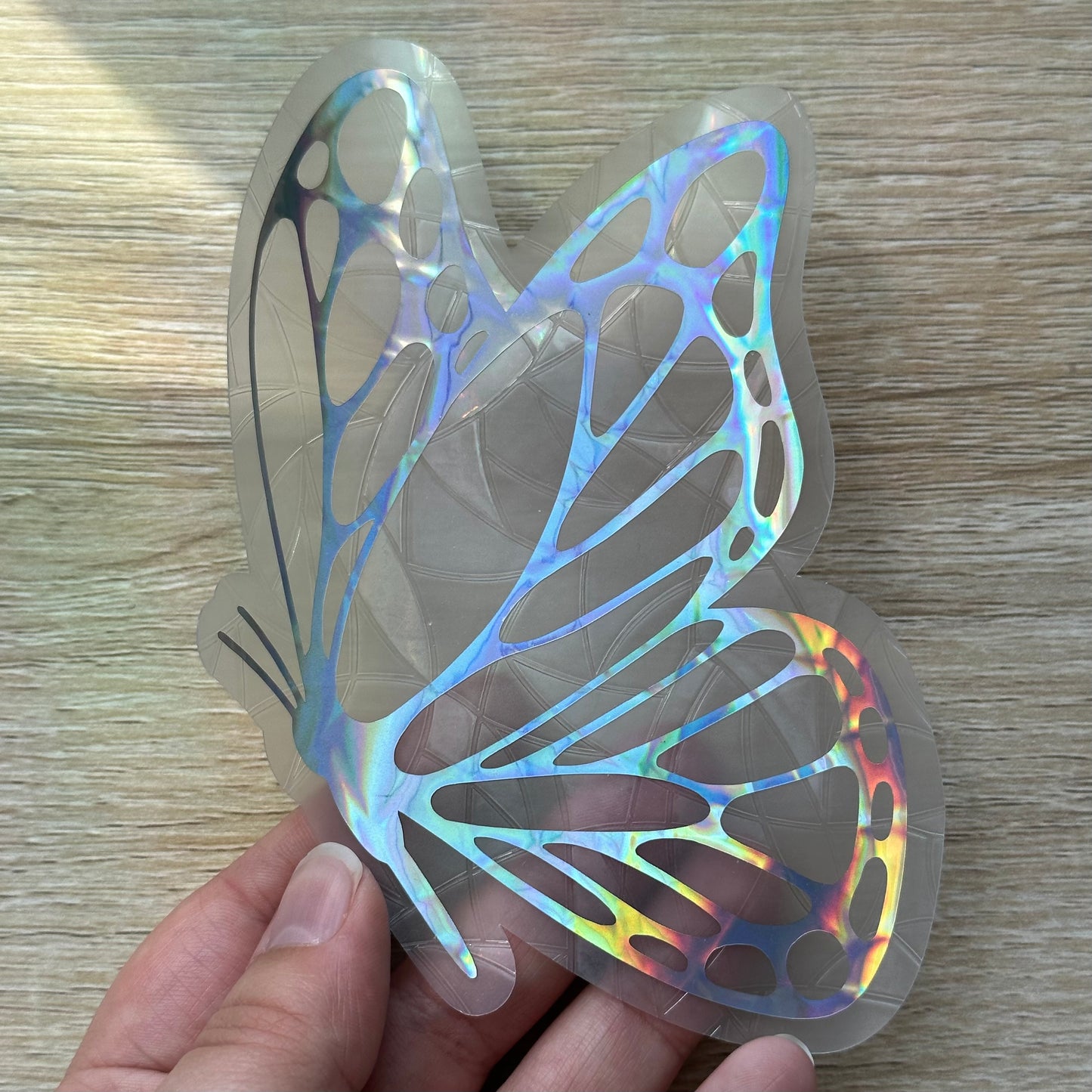 Butterfly Sun Catcher Sticker Decal