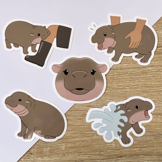 Baby Pygmy Hippo Sticker Pack