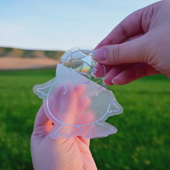 Removing the protective backing. Afterwards, it sticks to glass with static!