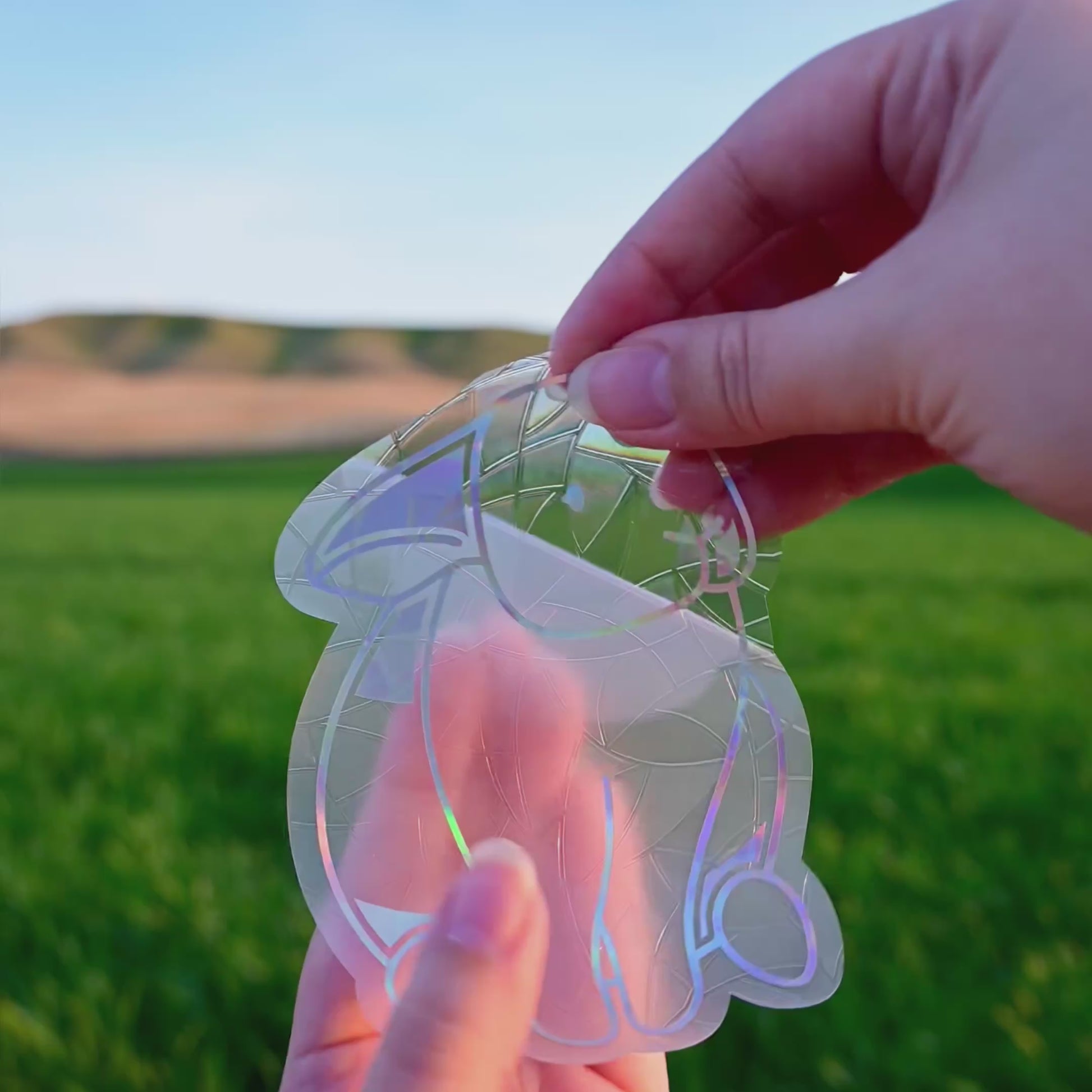 Removing the protective backing. Afterwards, it sticks to glass with static!