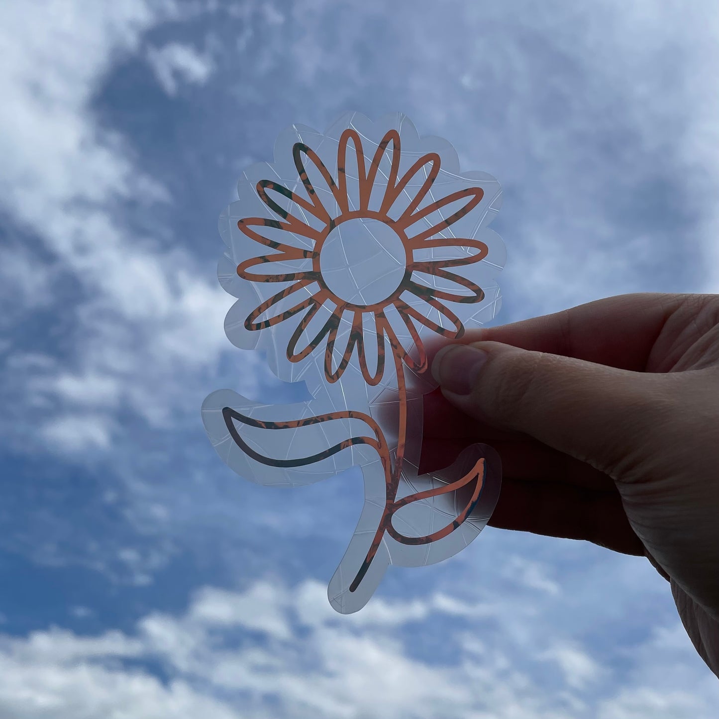 Daisy Flower Sun Catcher Sticker Decal