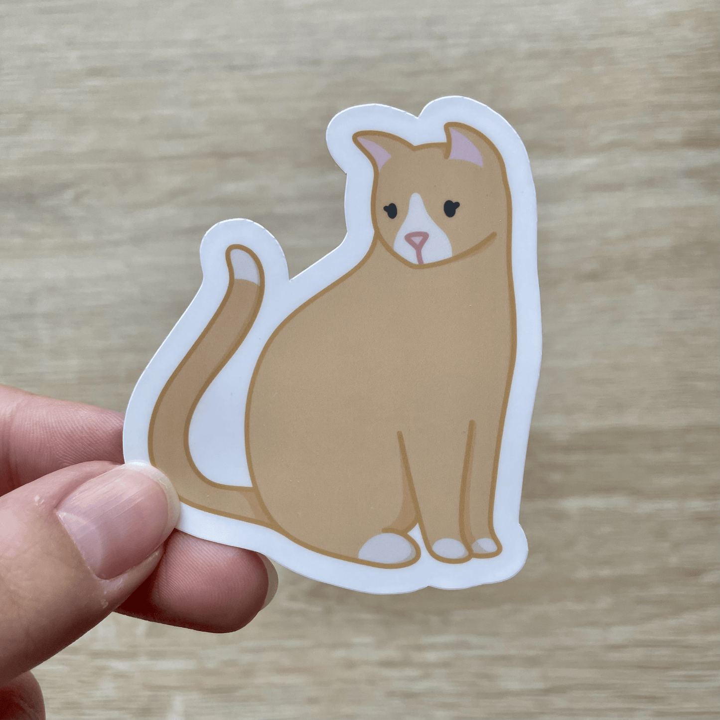 Cat Sticker