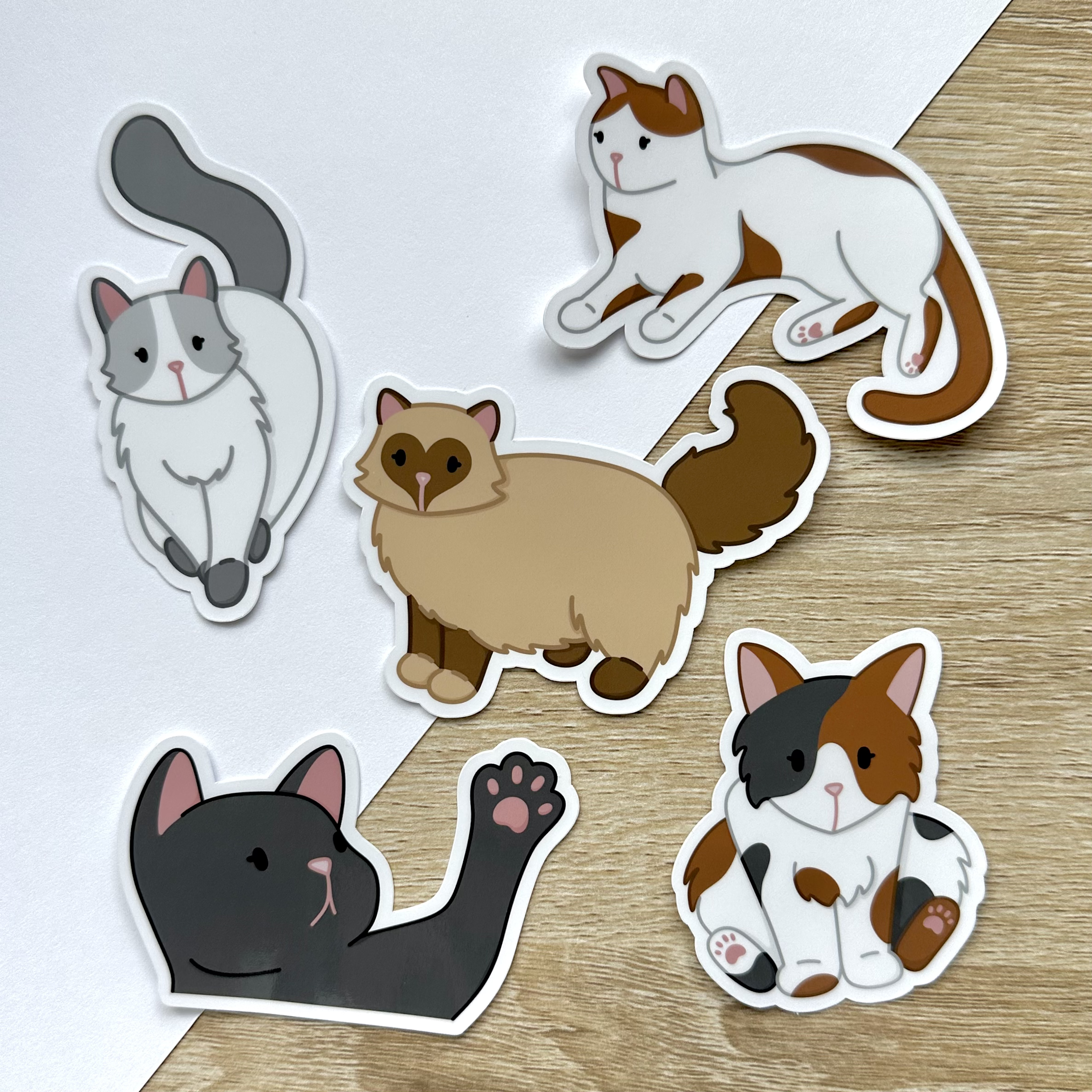 Cats Sticker Pack – LaRynn Sticker Co.