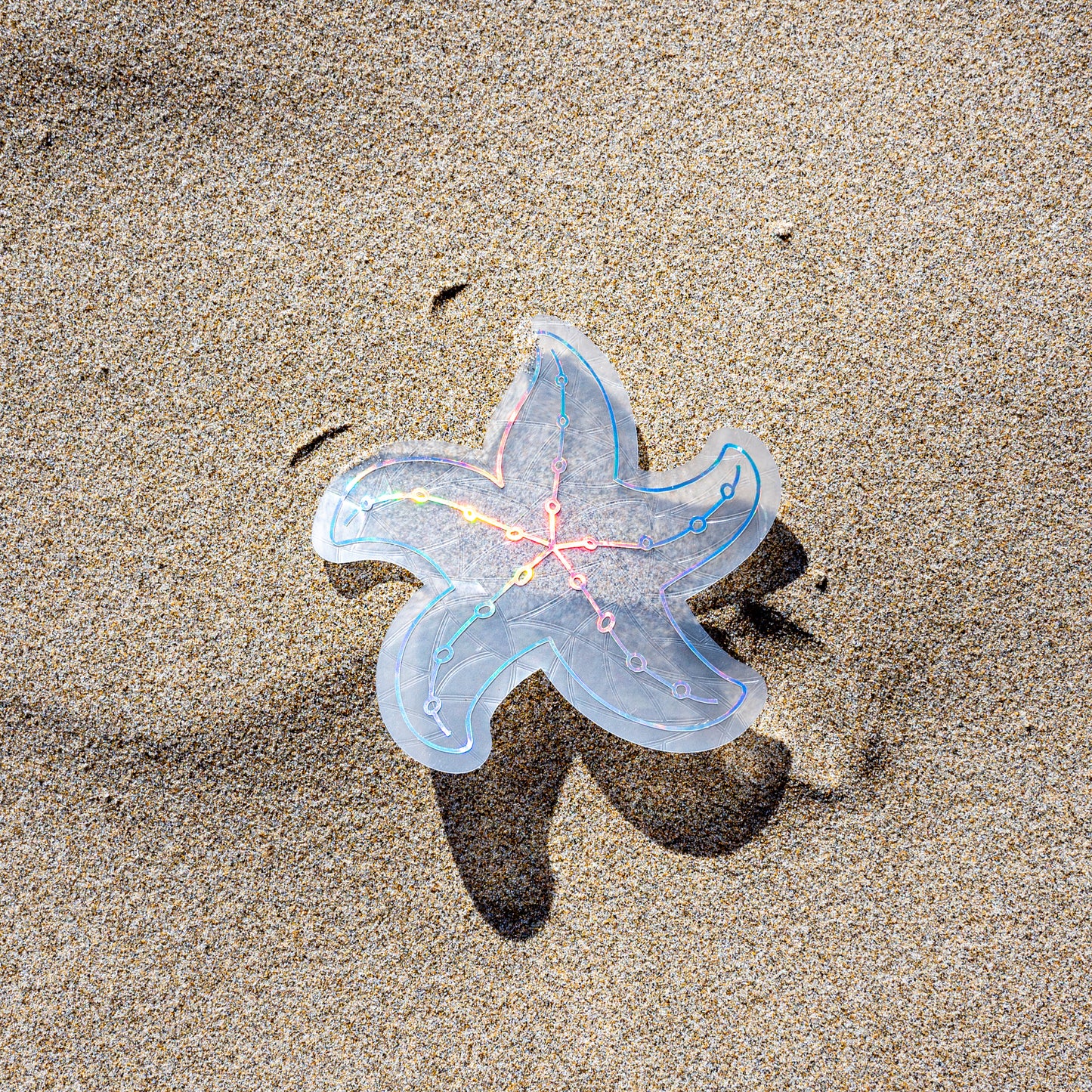 Starfish Sun Catcher Sticker Decal