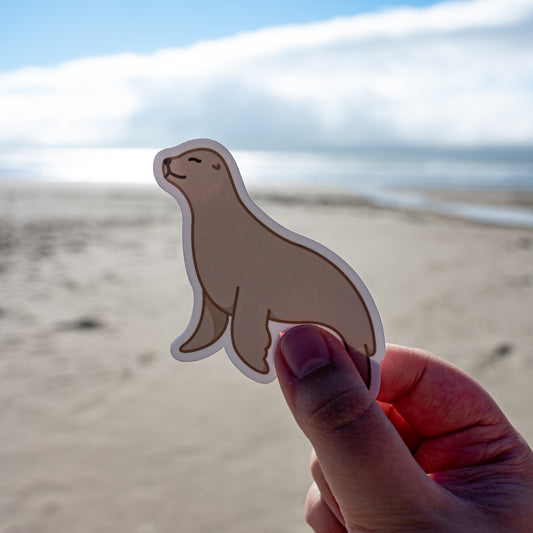 Sea Lion Sticker